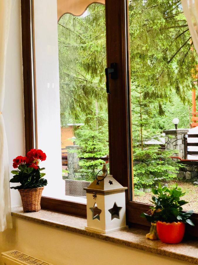 Pensiune & Restaurant Kalinder Buşteni Eksteriør bilde